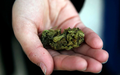 Курение марихуаны влияет на почки kilian духи марихуана