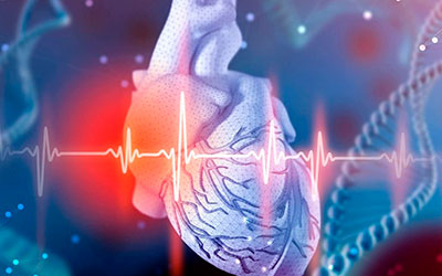 Заболевания сердечно-сосудистой системы - Угодие