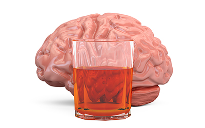 Алкоголь накапливается в разных отделах мозга - клиника Угодие