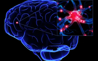 Предупреждения гипоксии тканей головного мозга – Угодие