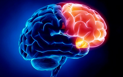 Воздействие этилового спирта на головной мозг - Угодие
